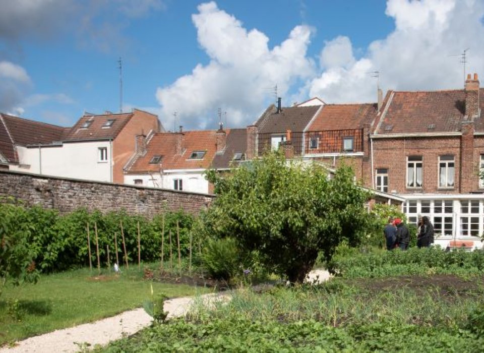 Un jardin citadin où l'on cultive des fruits et légumes, mais aussi l'entraide et le vivre ensemble